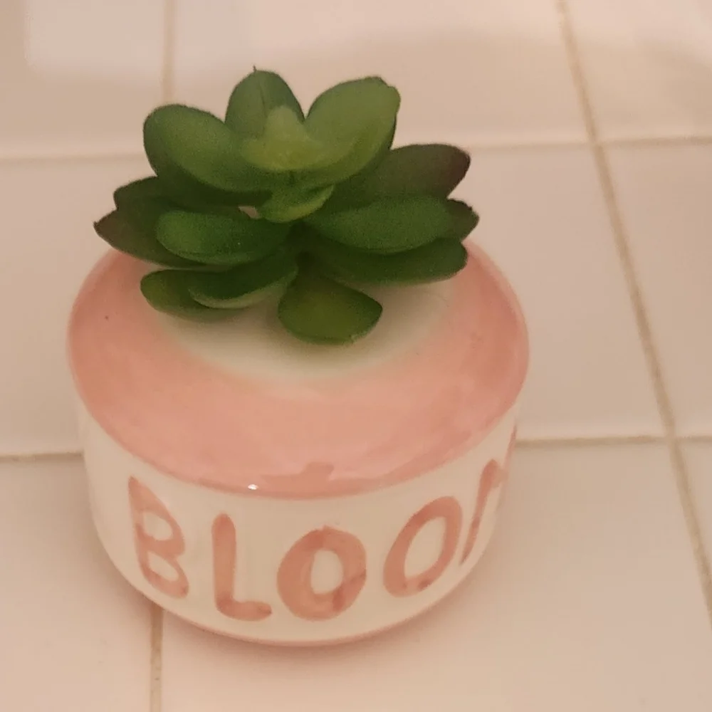 Bloom & Love Ceramic Planters with Succulents